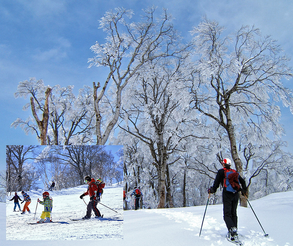 Hokuryu Onsen Family Skiing Resort