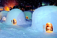 Winter dotted with Igloos