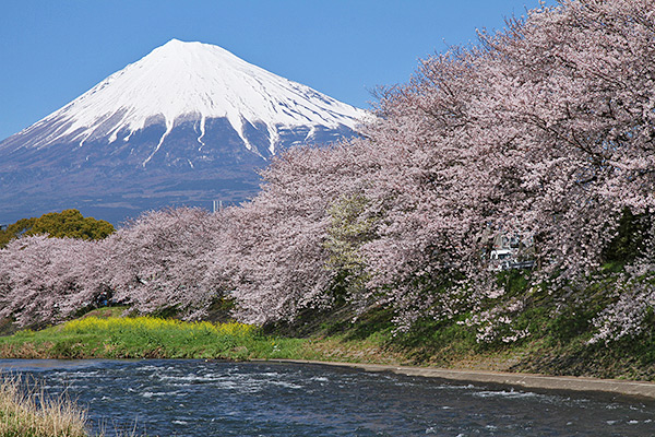 Fuji Mountain(Shizuoka,Yamanashi)