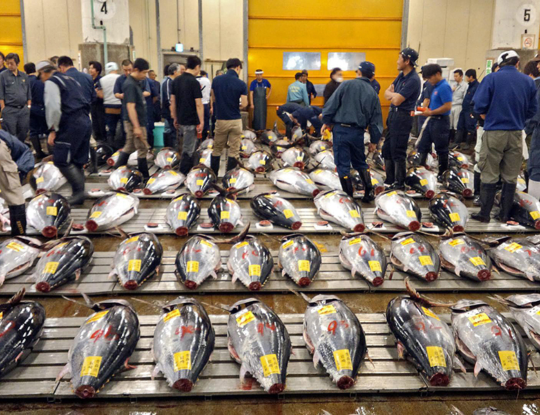 Tsukiji Fish Market